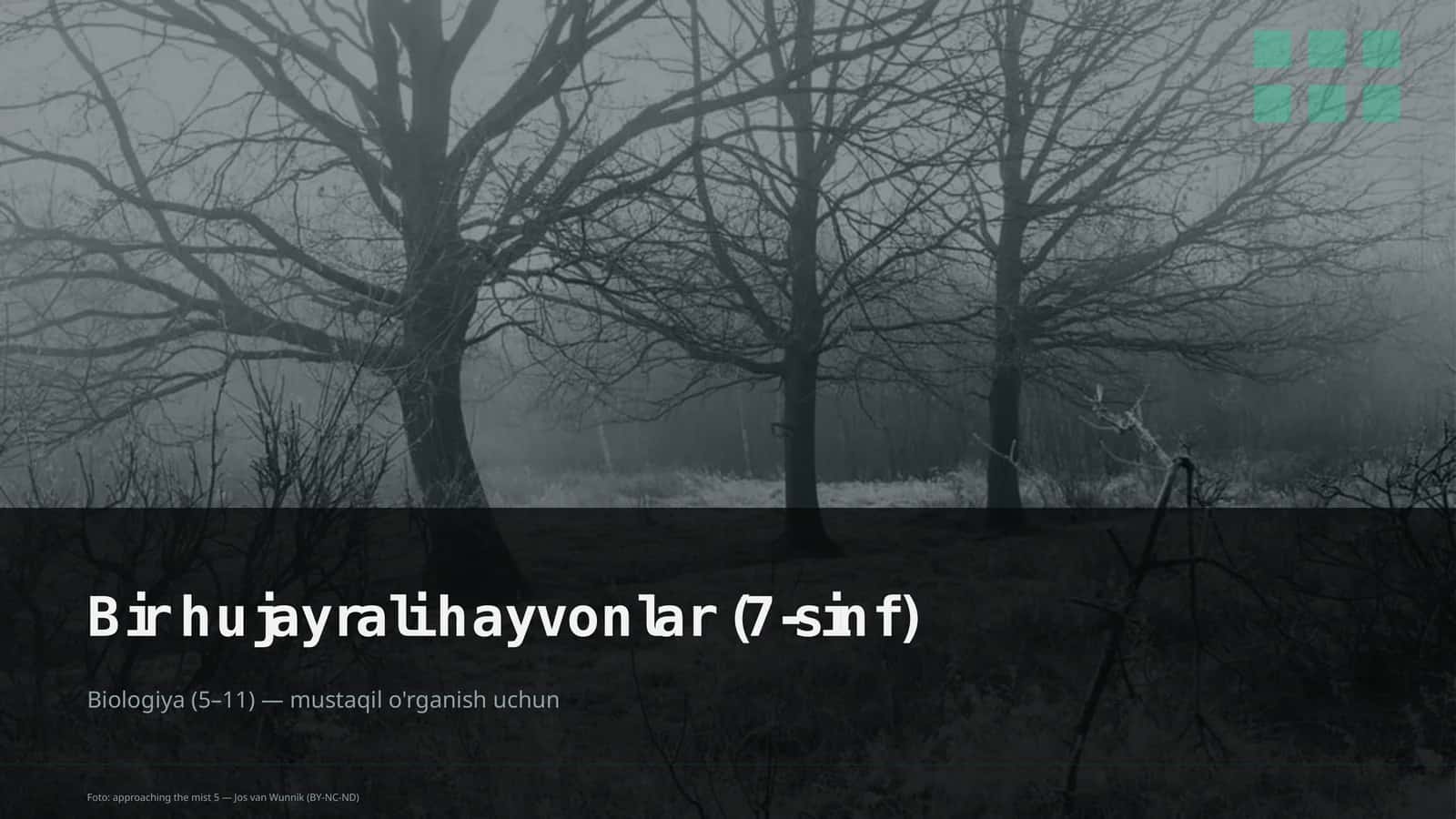 Bir hujayrali hayvonlar (7-sinf)