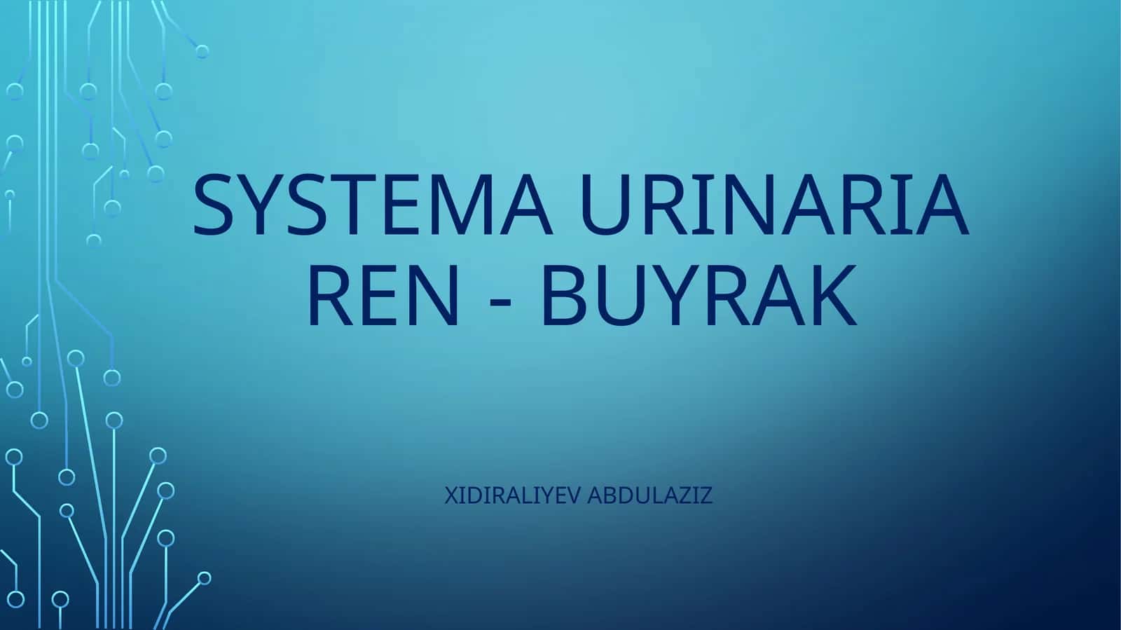 systema urinariya