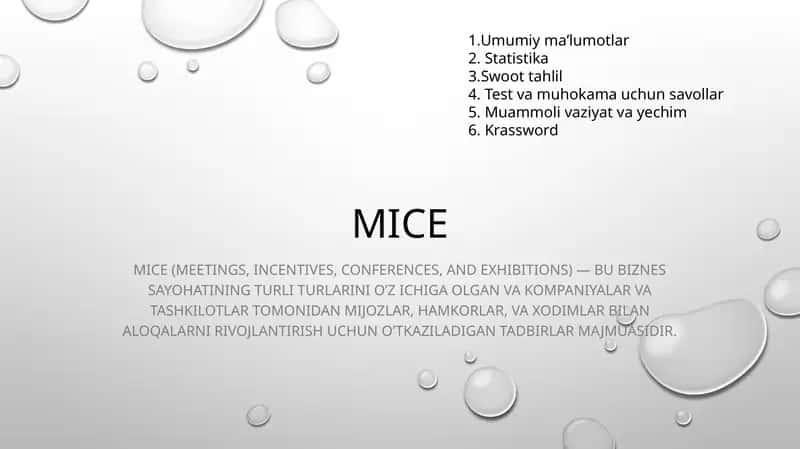 MICE (Meetings, Incentives, Conferences, and Exhibitions)