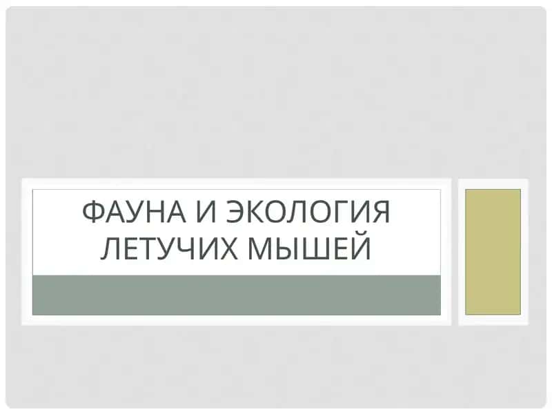 Фауна и экология летучих мышей
