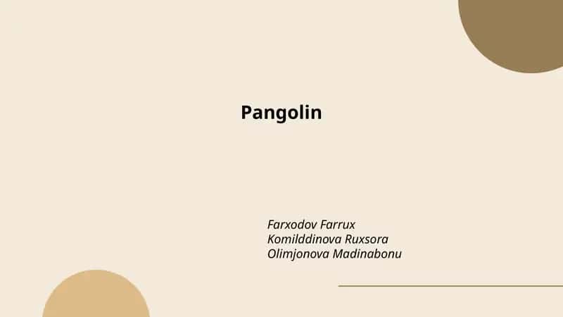 Pangolin