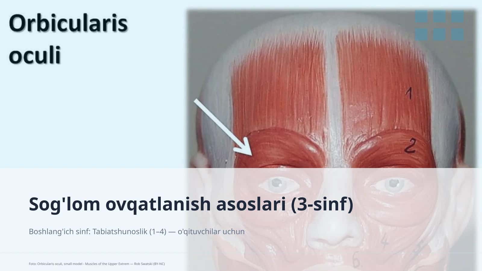 Sog'lom ovqatlanish asoslari (3-sinf)