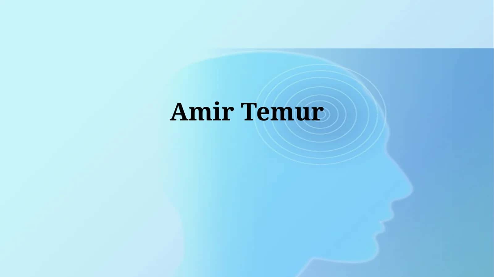 Amir Temur