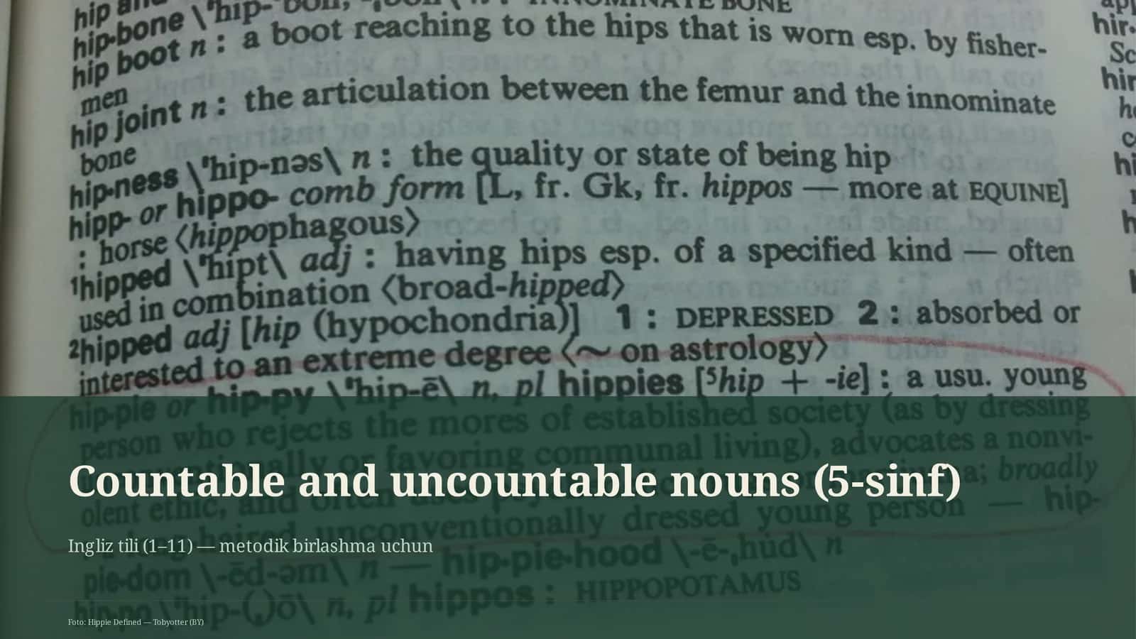Countable and uncountable nouns (5-sinf)