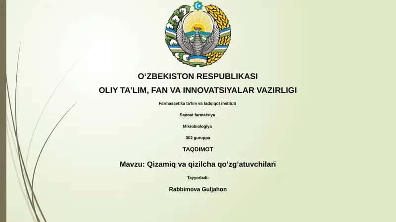 Qizamiq va qizilcha qo’zg’atuvchilari