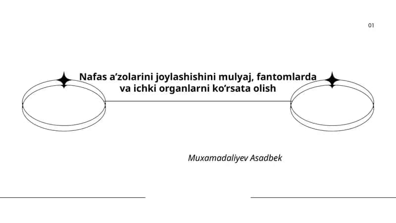 Nafas a’zolarini joylashishini mulyaj, fantomlarda va ichki organlarni ko’rsata olish
