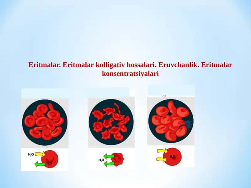 Eritmalar