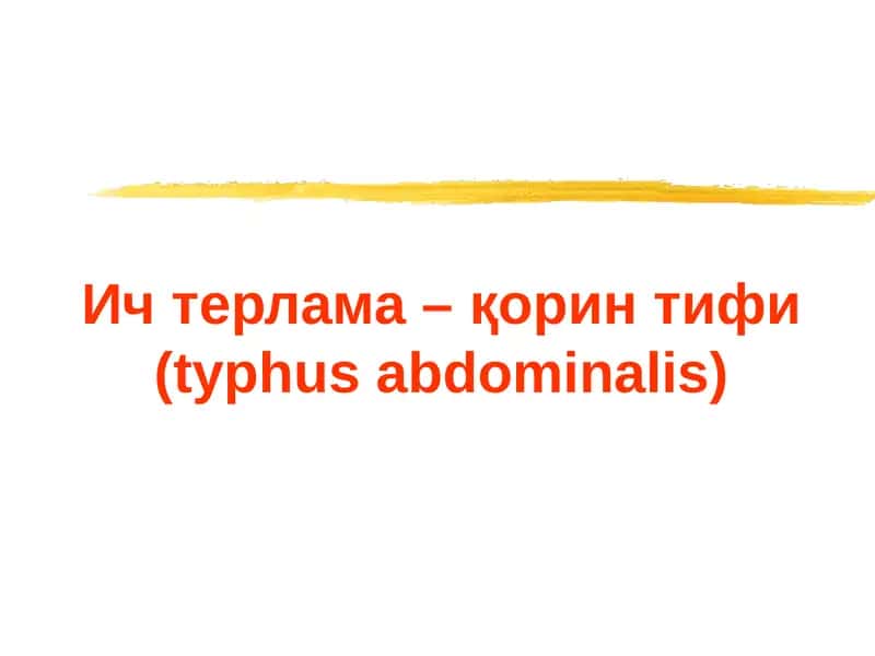 Ич терлама –қорин тифи (typhus abdominalis)