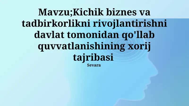Kichik biznes va tadbirkorlikni rivojlantirishni davlat tomonidan qo'llab quvvatlanishining xorij tajribasi