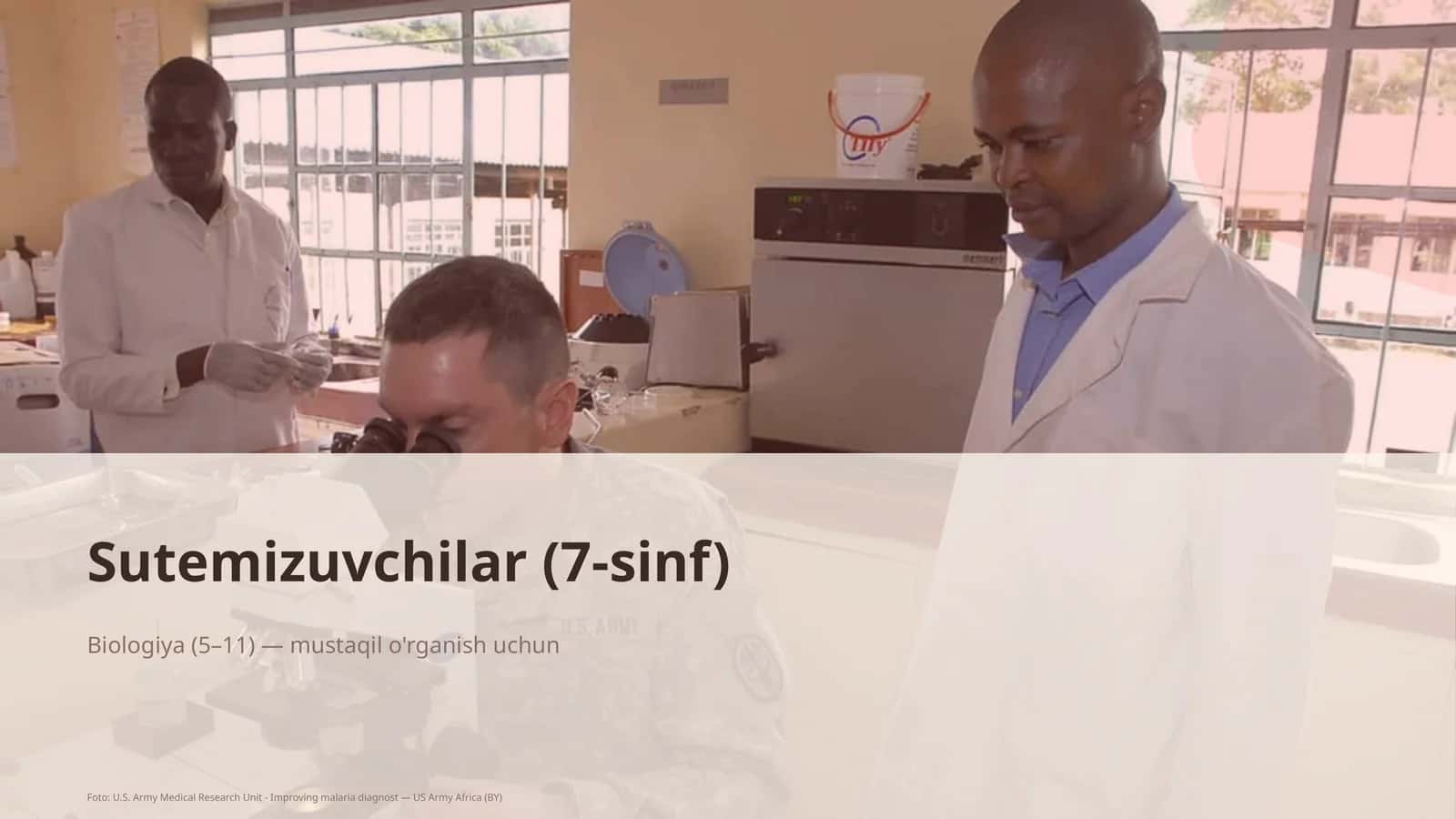 Sutemizuvchilar (7-sinf)
