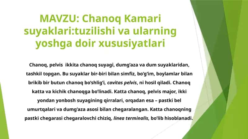 ChanoqKamarisuyaklari:tuzilishivaularningyoshgadoirxususiyatlari