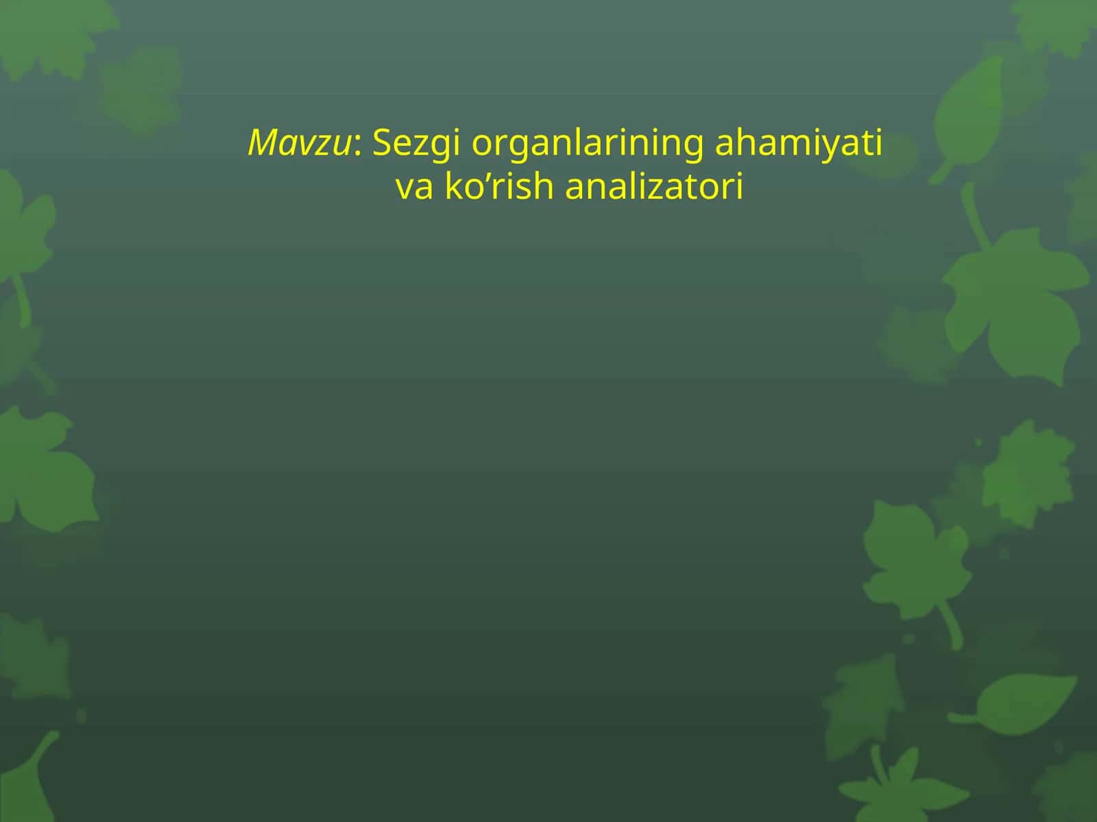 ANALIZATOR