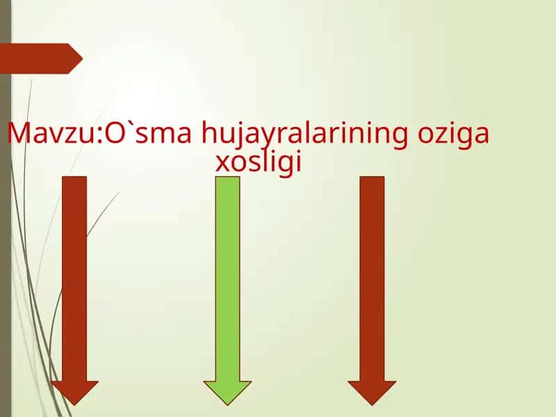O`smahujayralarining ozigaxosligi