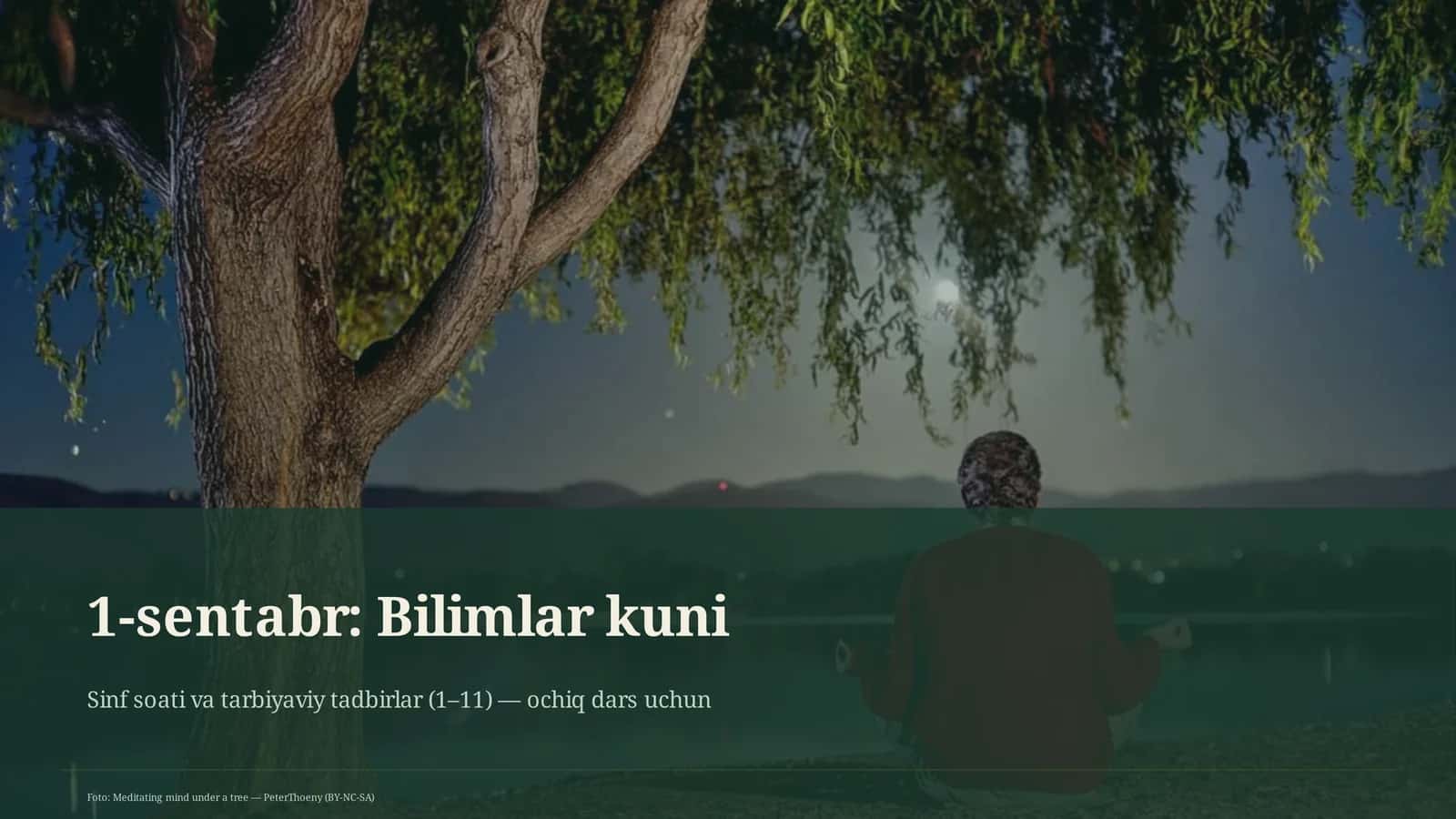 Bilimlar kuni