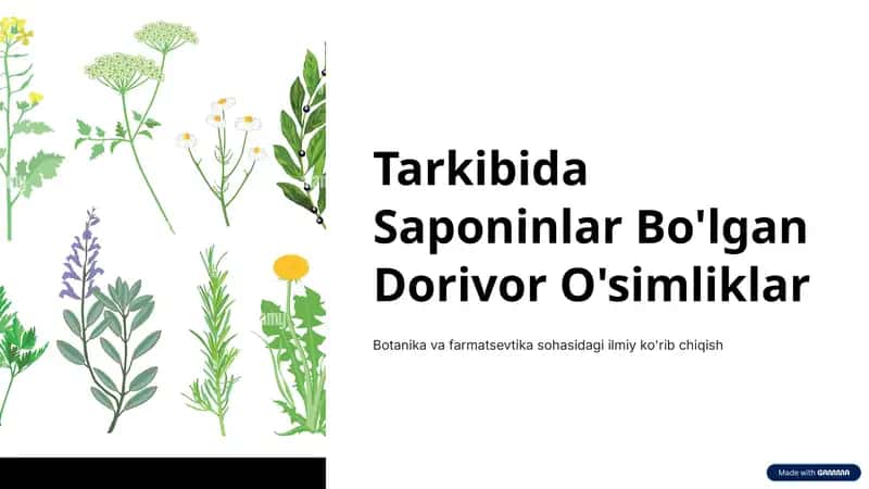 Saponinlar Bo'lgan Dorivor O'simliklar