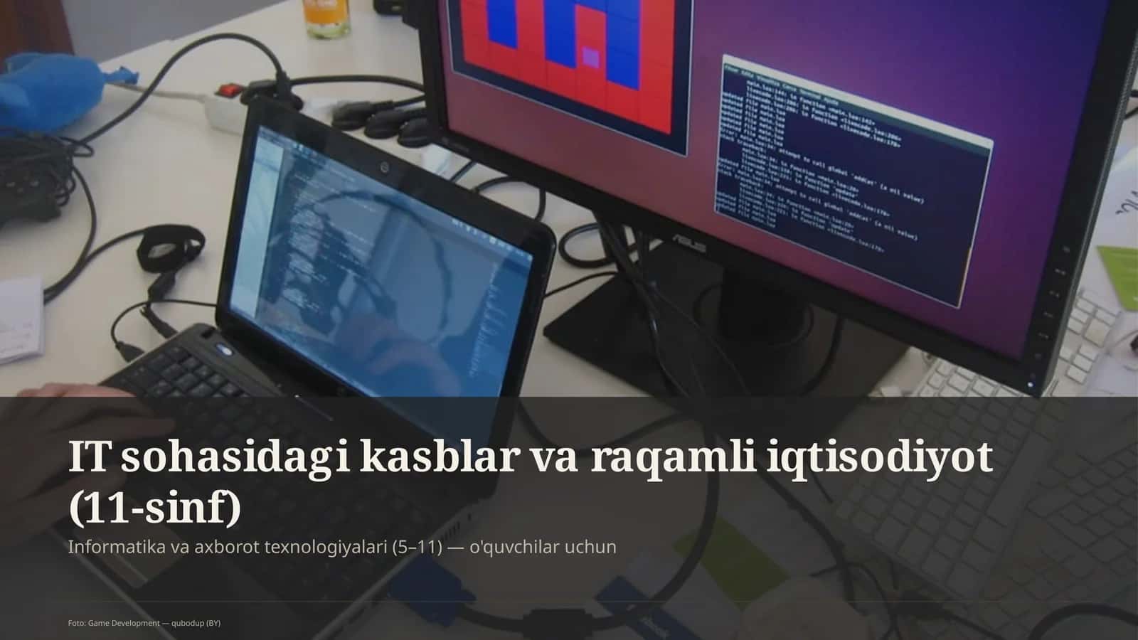 IT sohasidagi kasblar va raqamli iqtisodiyot (11-sinf)