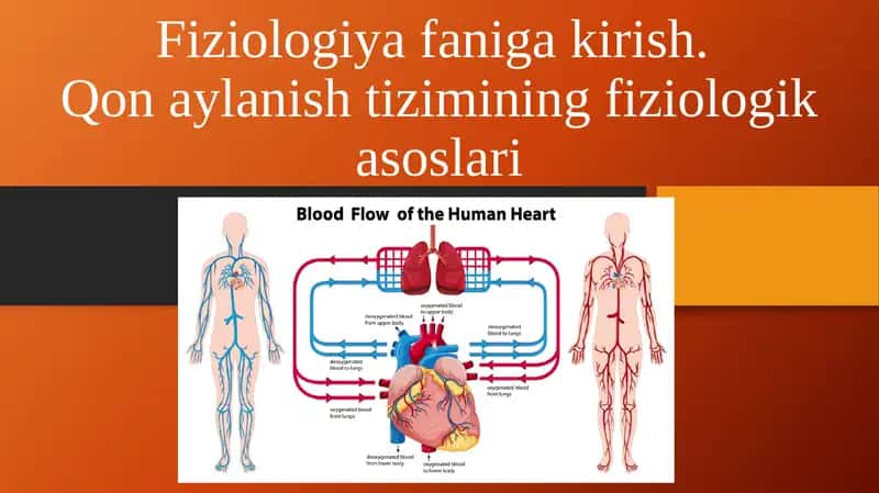 Qon aylanish  tizimining  fiziologik   asoslari 1