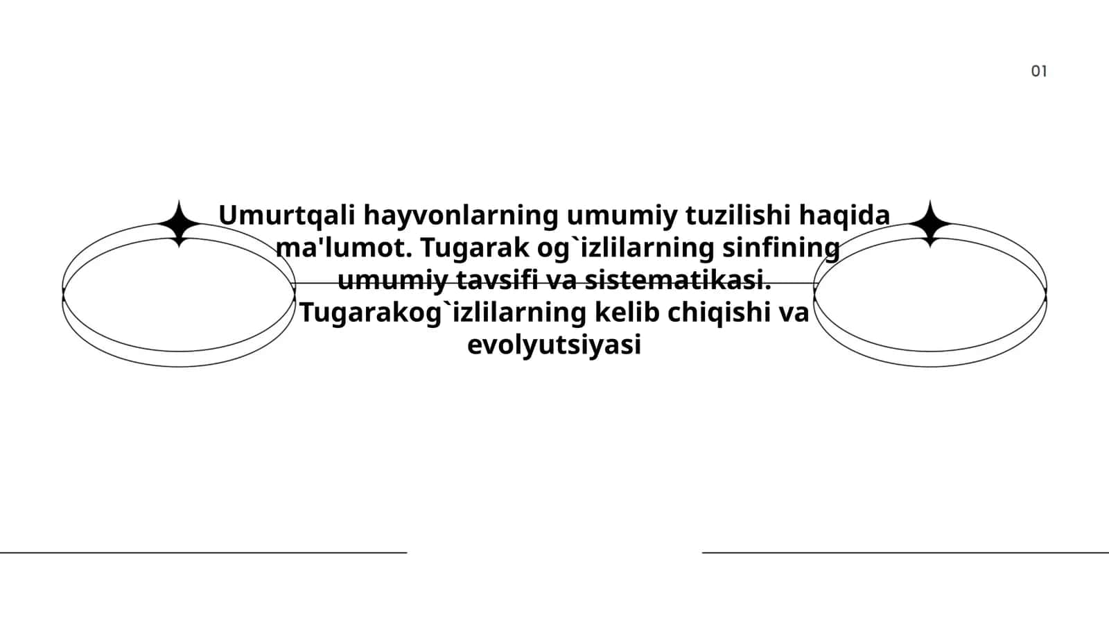 Umurtqali hayvonlarning umumiy tuzilishi