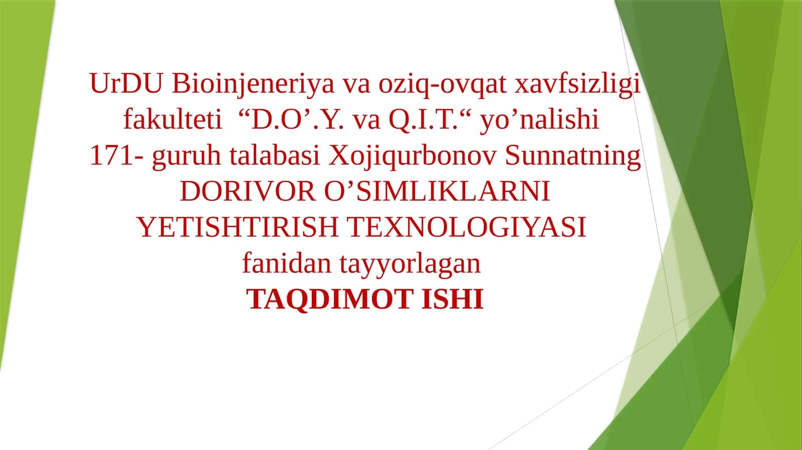 Sarıqandiz (Девясил желтый) Inulagrands L ni yetishtirish texnologiyasi