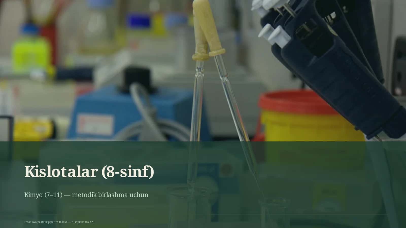 Kislotalar (8-sinf)