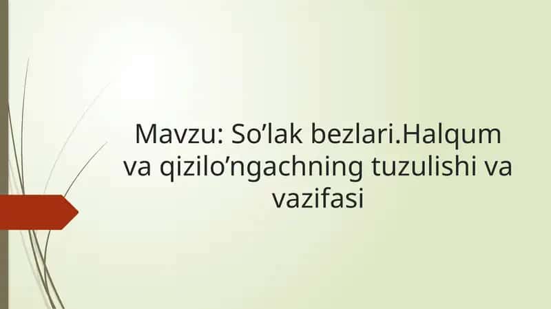 So’lak bezlari