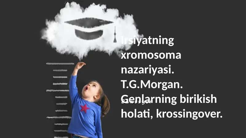 Xromosomalar Nazariyasi