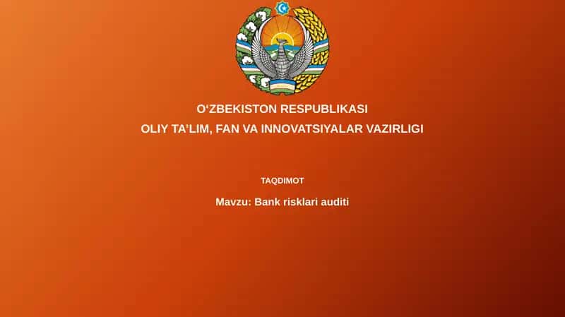 Bankrisklariauditi