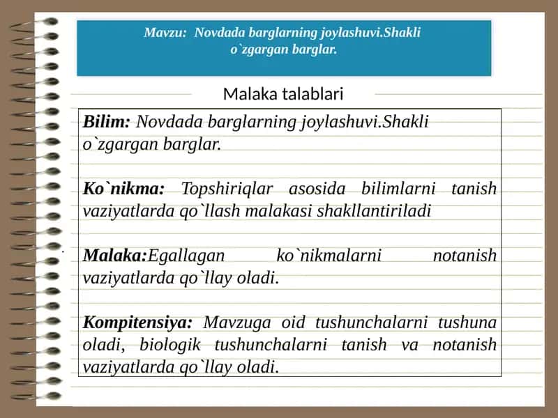 Novdada barglarning joylashuvi.Shakli  o`zgargan barglar.