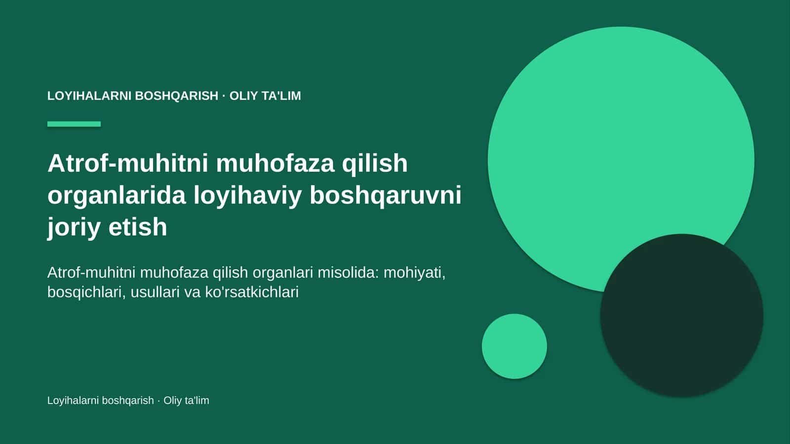 Atrof-muhitni muhofaza qilish organlarida loyihaviy boshqaruvni joriy etish