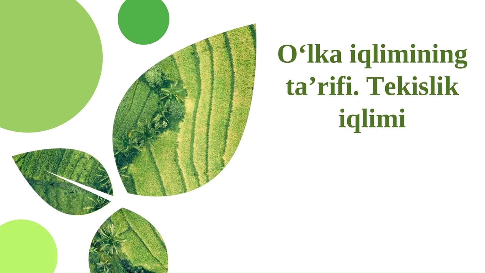O‘lka iqlimining ta’rifi. Tekislik iqlimi