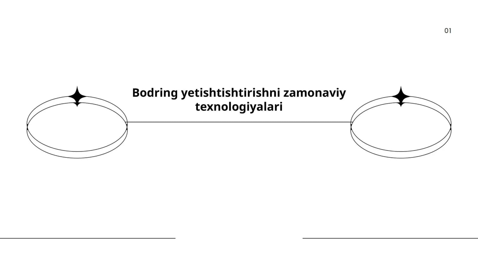 Bodring yetishtishtirishni zamonaviy texnologiyalari