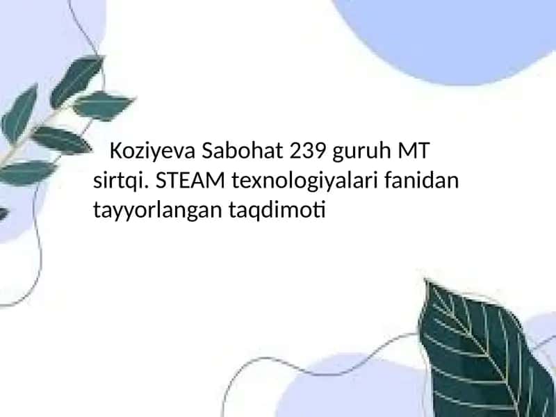 STEAM texnologiyalari fanidantayyorlangantaqdimoti