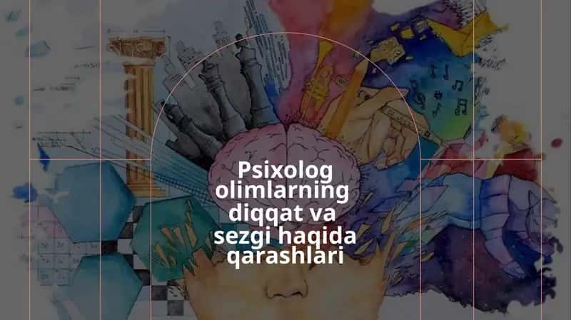 Sezgi,Diqqat