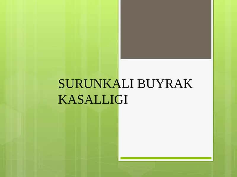 SURUNKALI BUYRAK KASALLIGI
