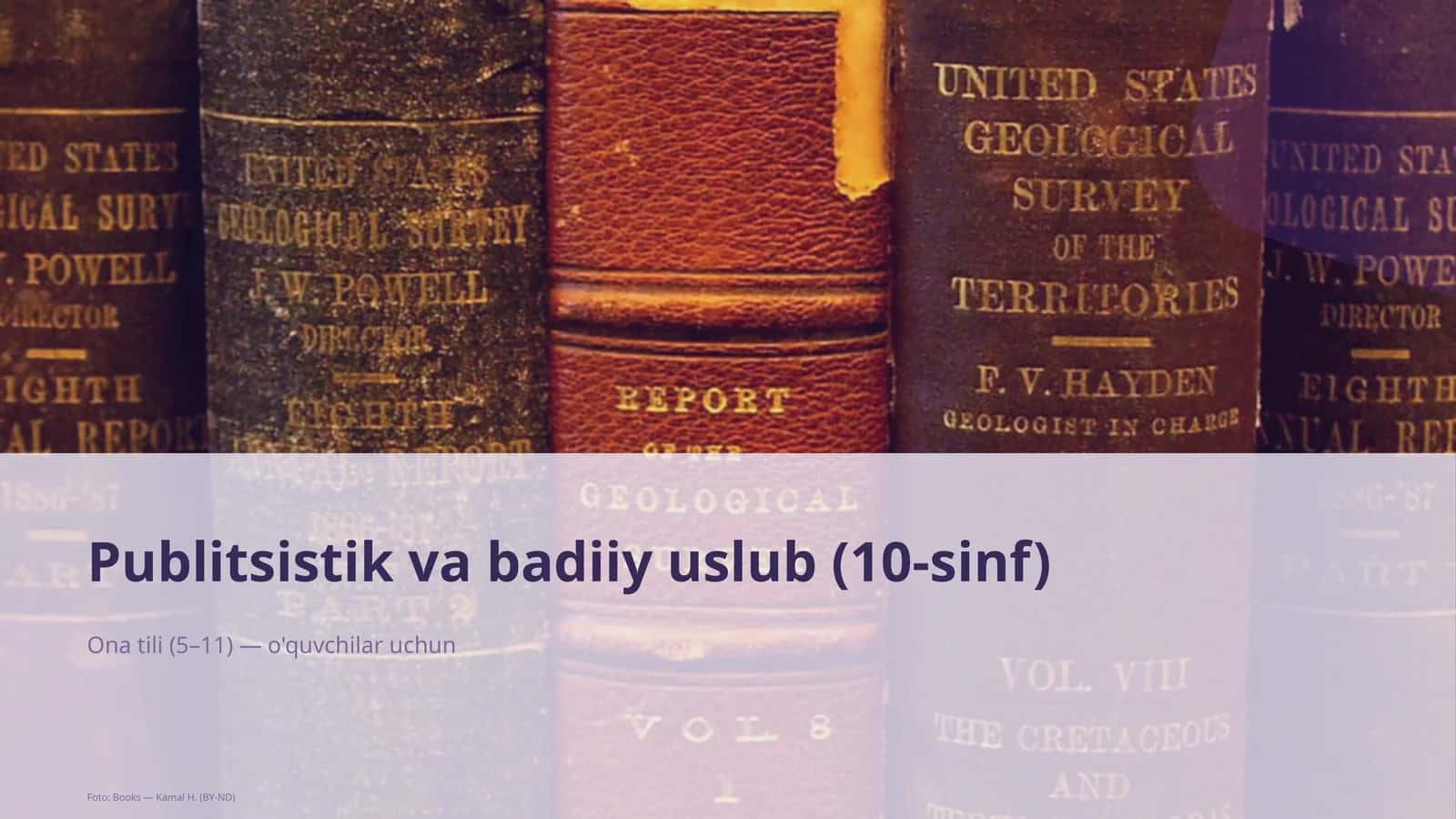 Publitsistik va badiiy uslub (10-sinf)