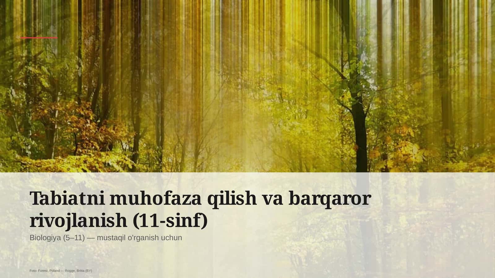 Tabiatni muhofaza qilish va barqaror rivojlanish (11-sinf)