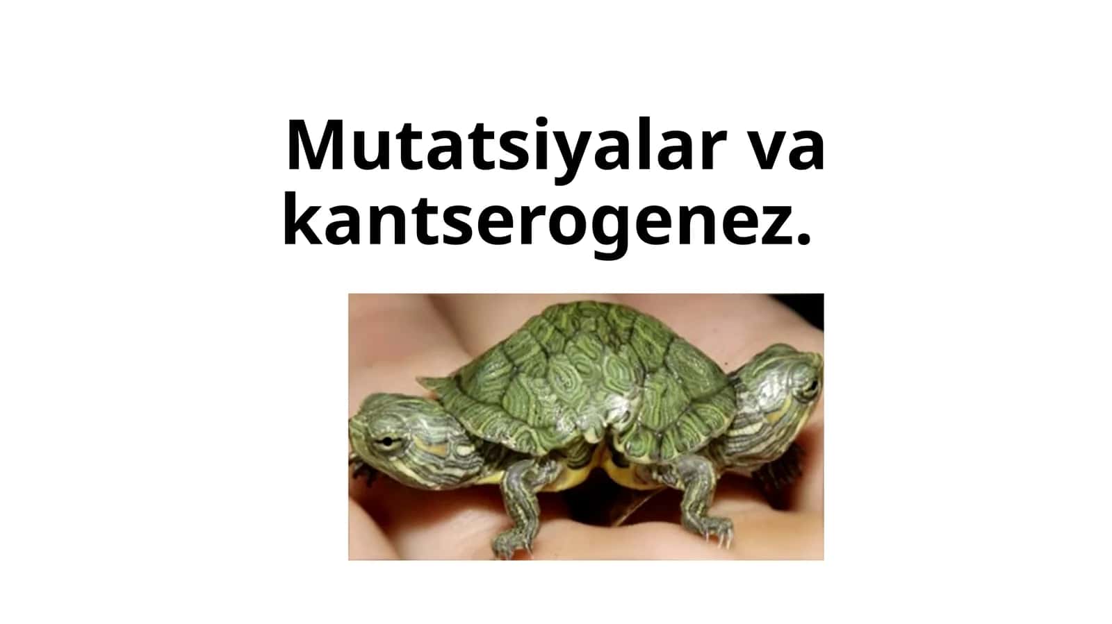 Mutatsiyalar vakantserogenez