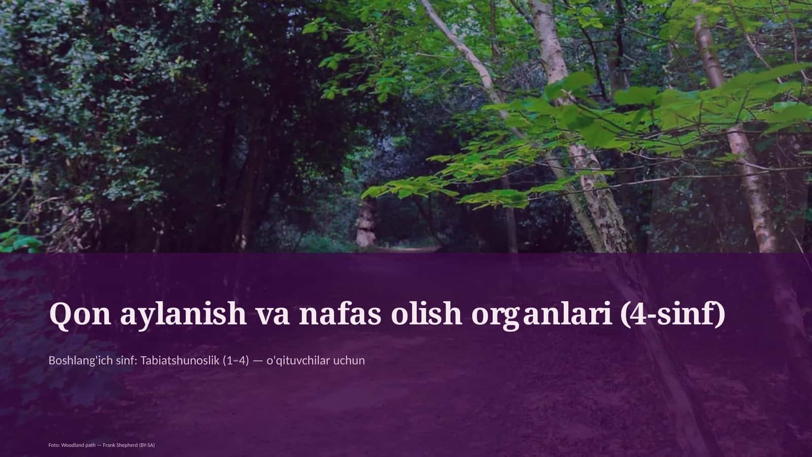 Qon aylanish va nafas olish organlari (4-sinf)