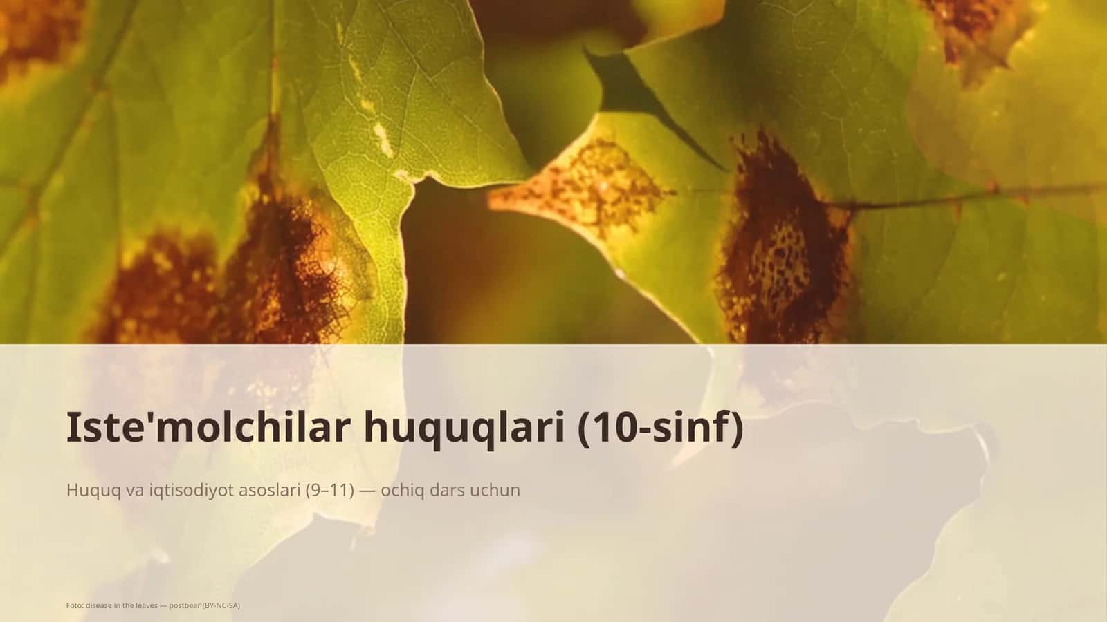 Iste'molchilar huquqlari (10-sinf)