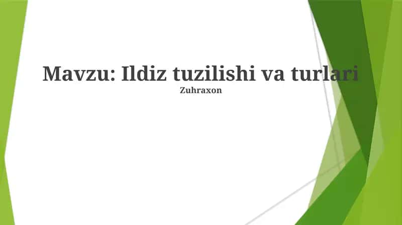 Ildiz Tuzilishi va Turlari