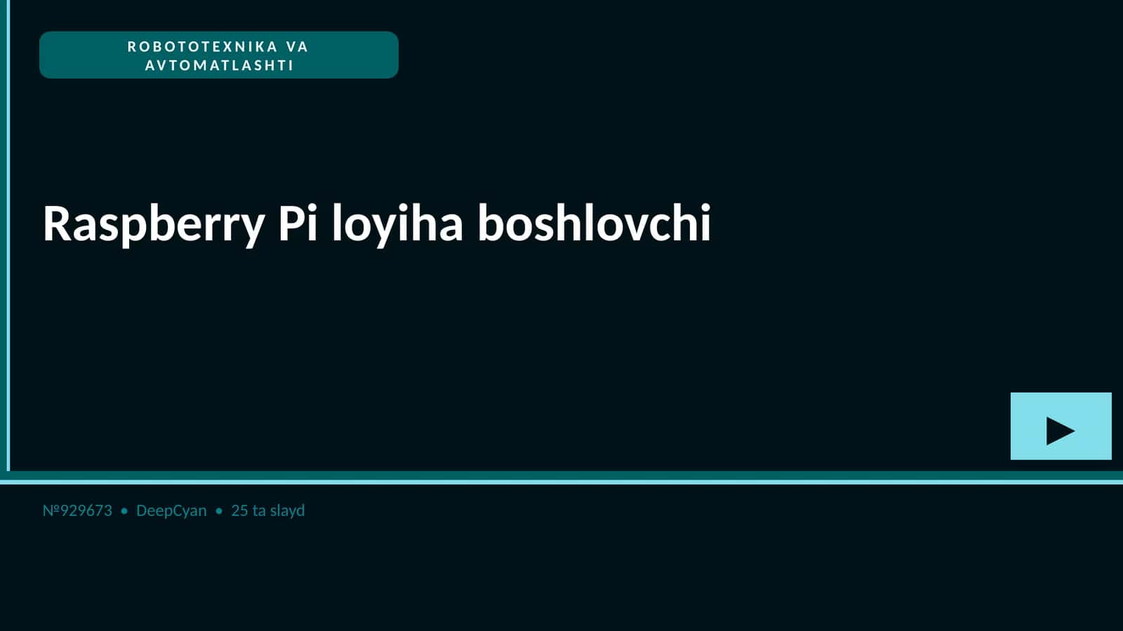Raspberry Pi loyiha boshlovchi