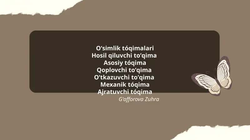 Oʻsimlik Tóqimalari