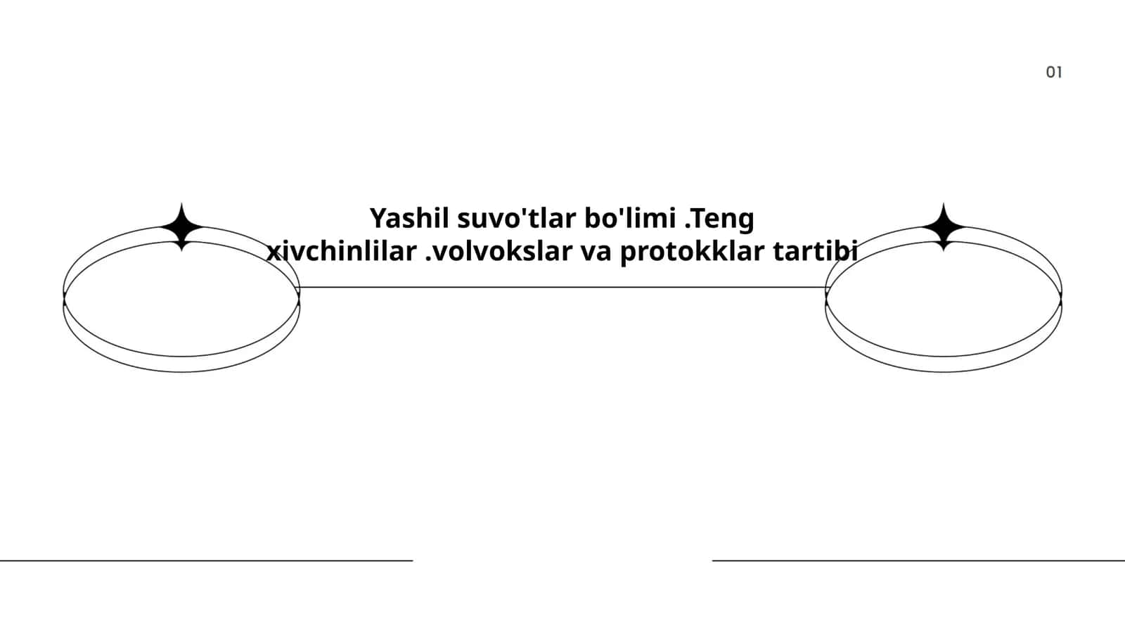 Yashil suvo'tlar bo'limi.Teng xivchinlilar.volvokslar va protokklar tartibi