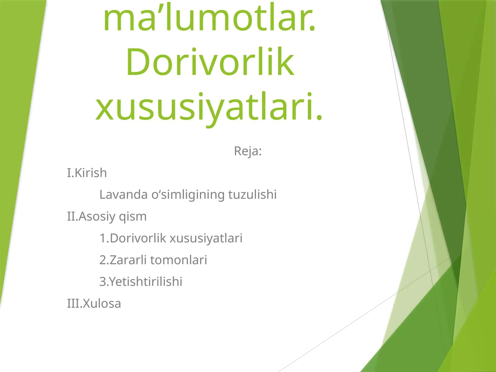 Lavanda oʻsimligi haqida maʼlumotlar