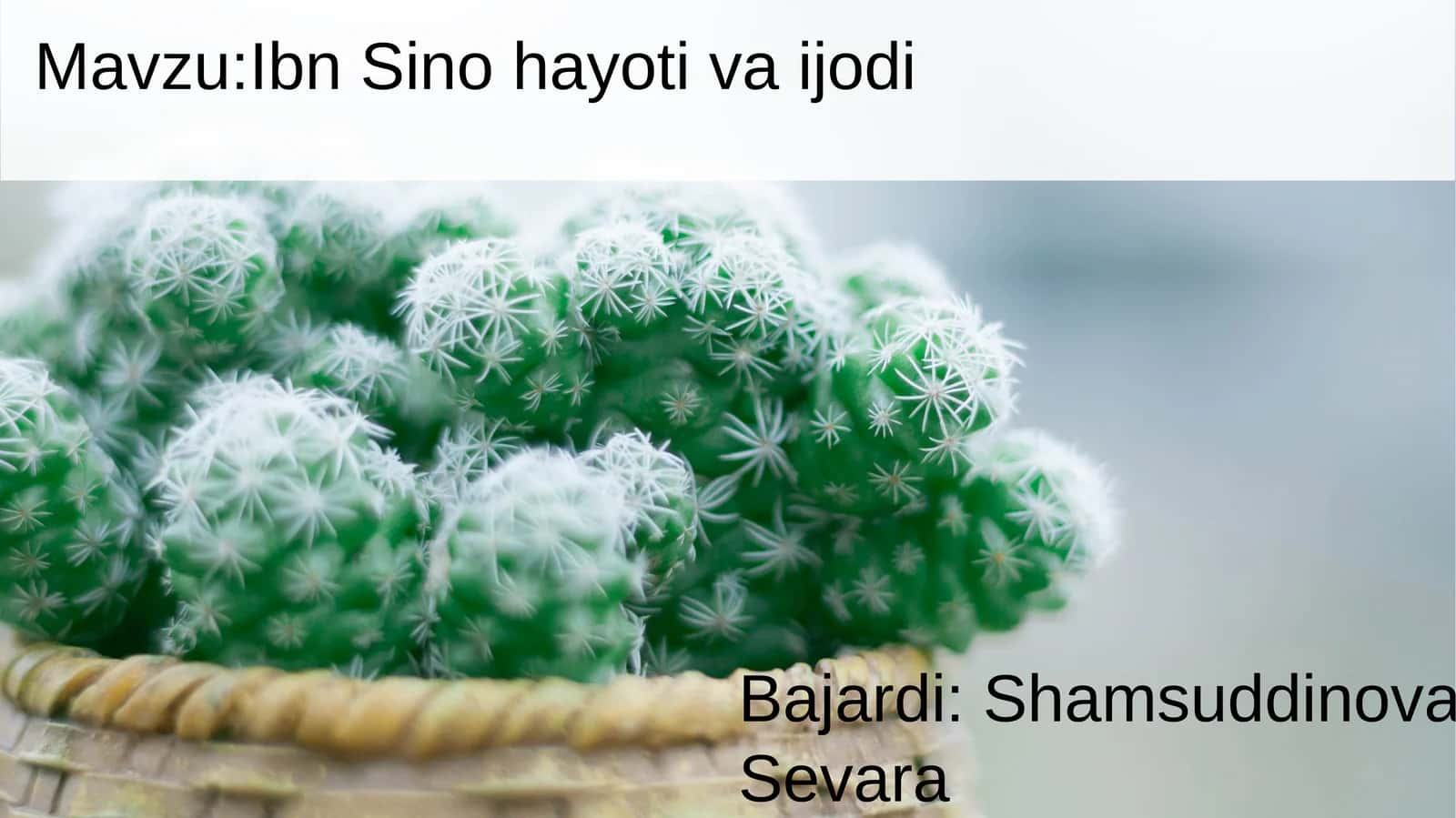 Ibn Sino hayoti va faoliyati haqida