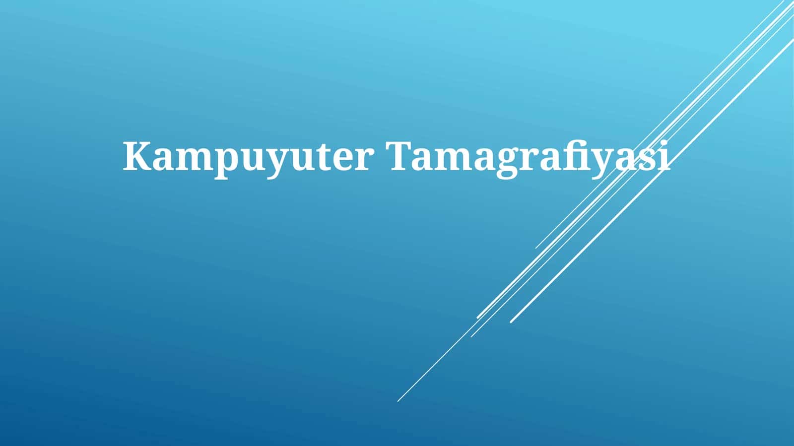 Kampuyuter Tamagrafiyasi