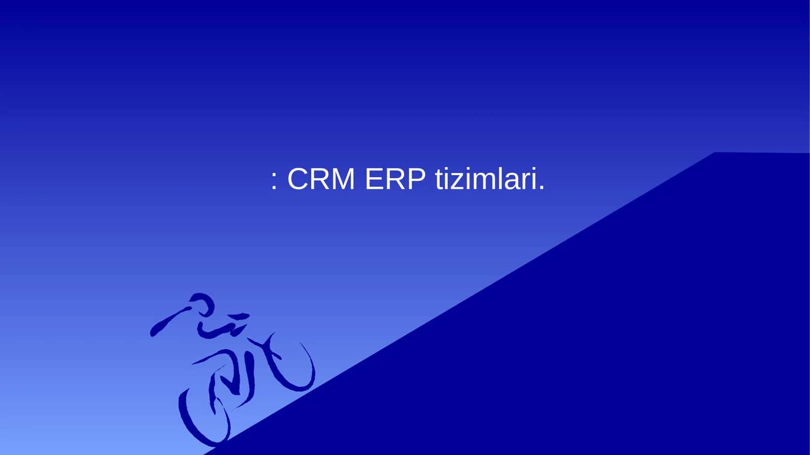 ERP tizimlari