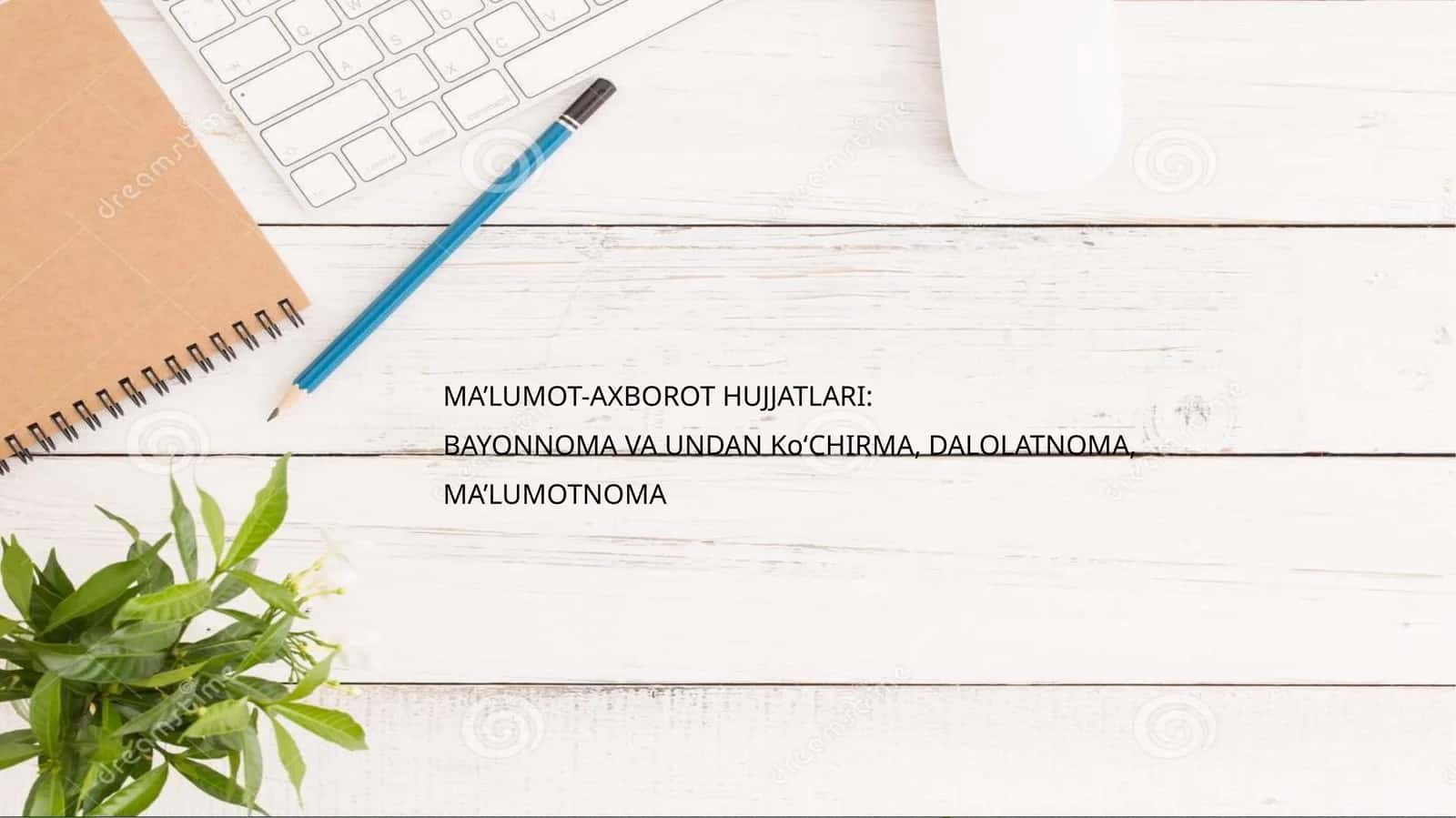 Bayonnoma yozish tartibi