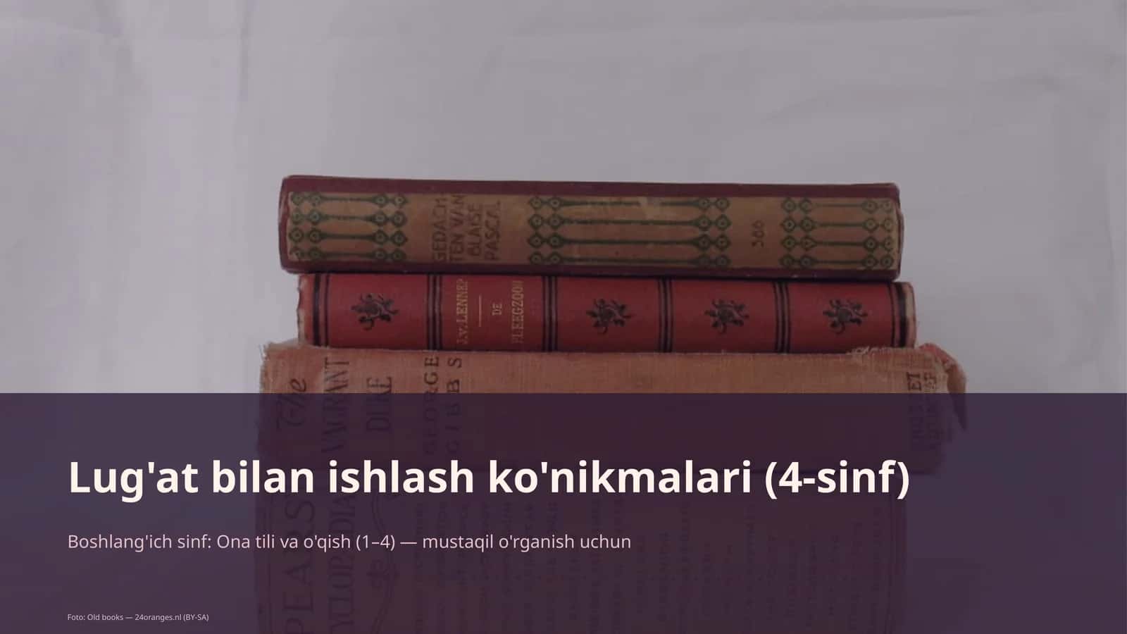 Lug'at bilan ishlash ko'nikmalari (4-sinf)