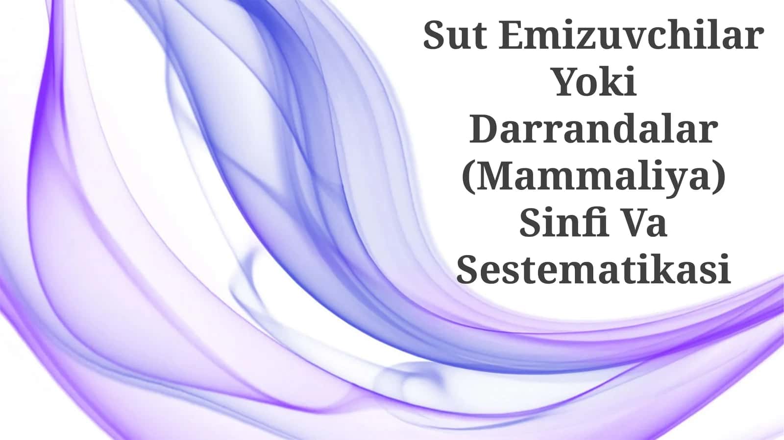 Sut Emizuvchilar Yoki Darrandalar (Mammaliya) Sinfi Va Sestematikasi